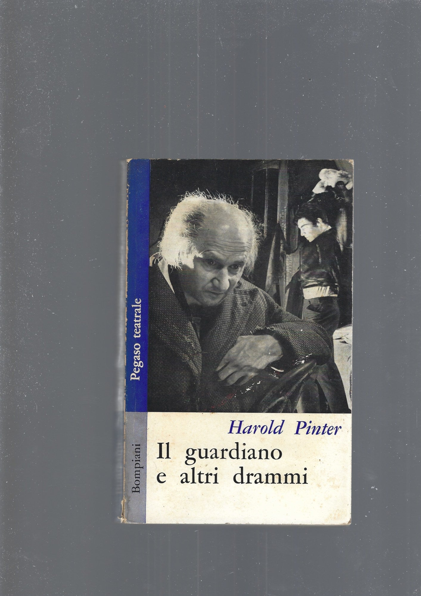 IL GUARDIANO E ALTRI DRAMMI - copertina