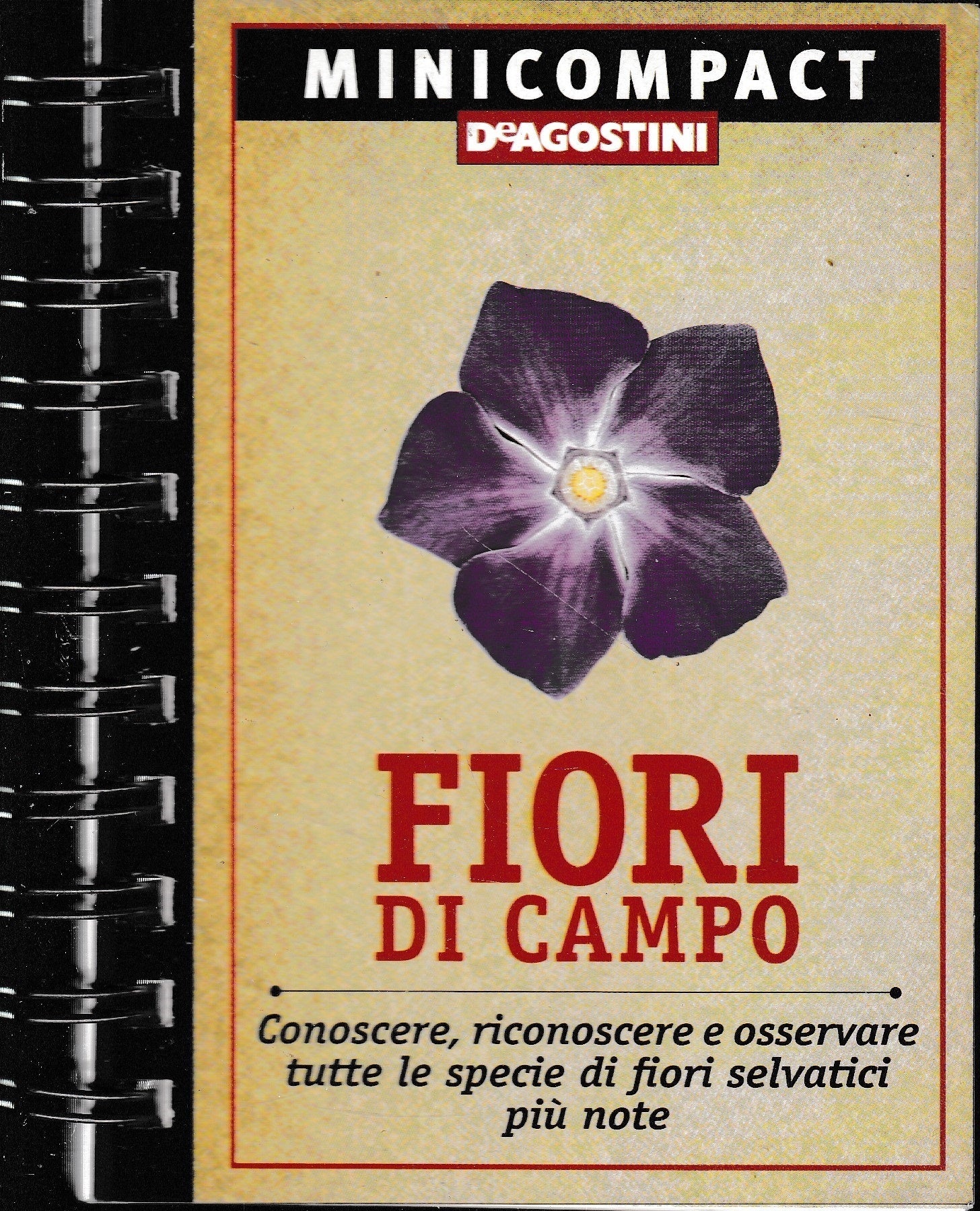 Fiori di campo. Conoscere, riconoscere e osservare tutte le specie di fiori selvatici più note - copertina