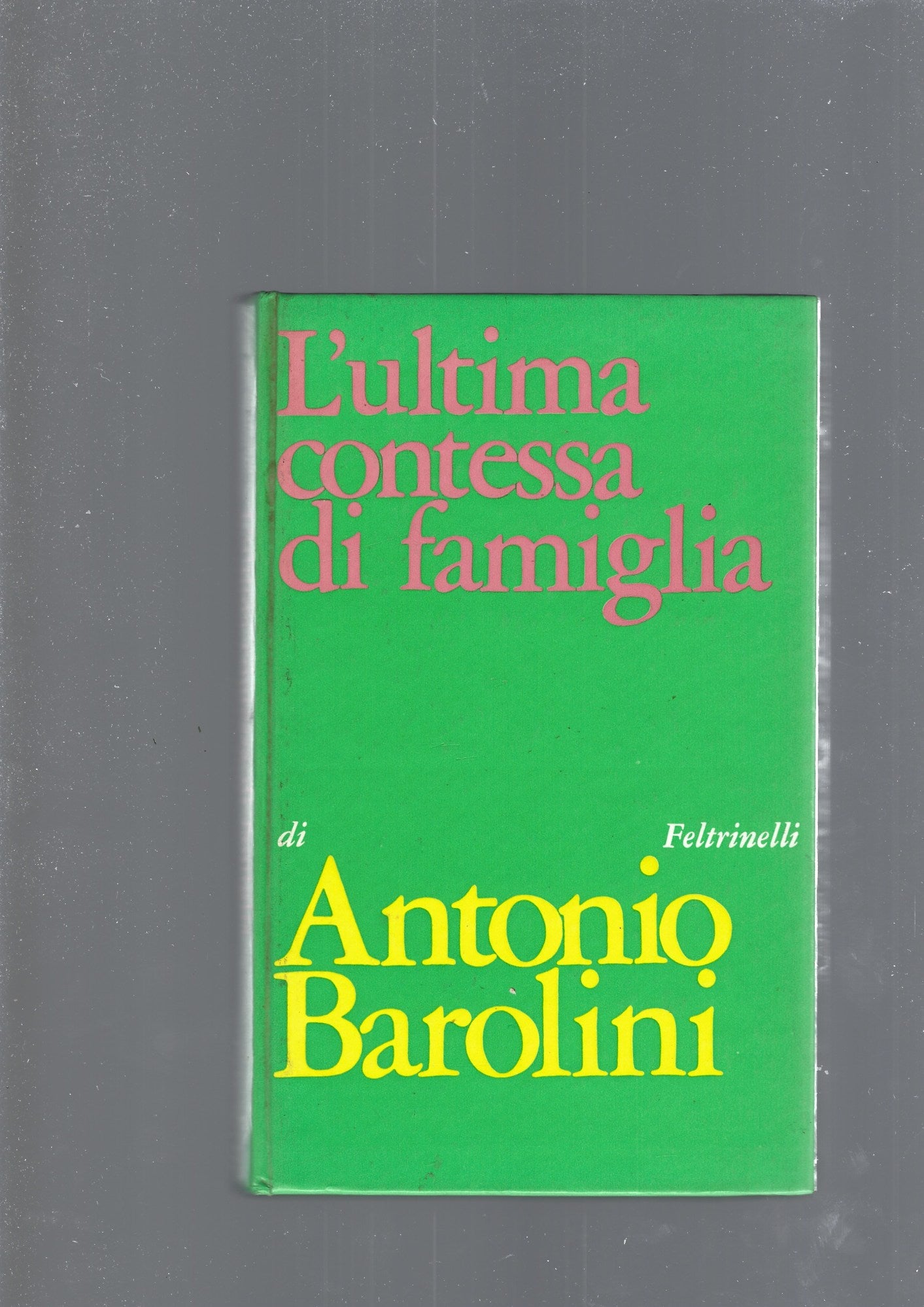 L' ULTIMA CONTESSA DI FAMIGLIA - copertina