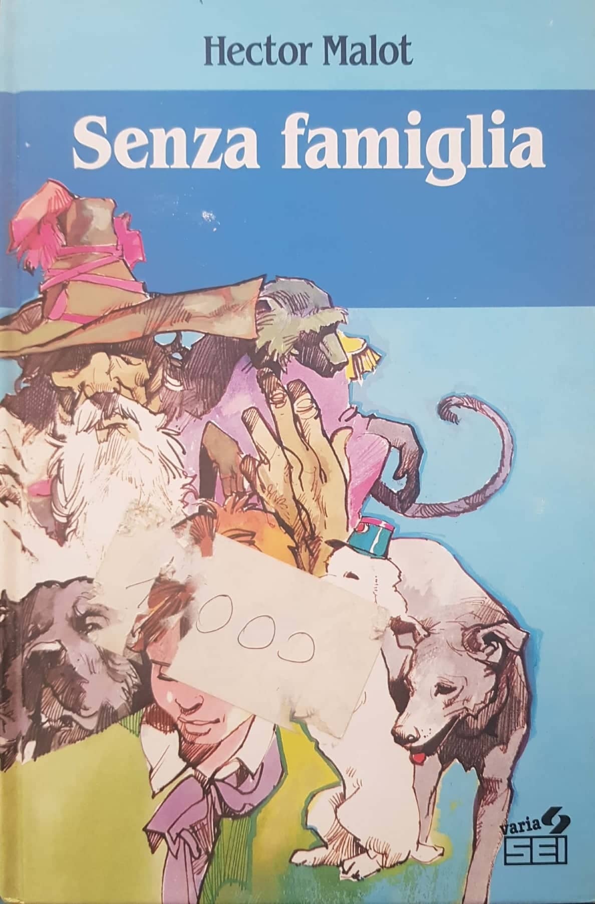 Senza famiglia - copertina