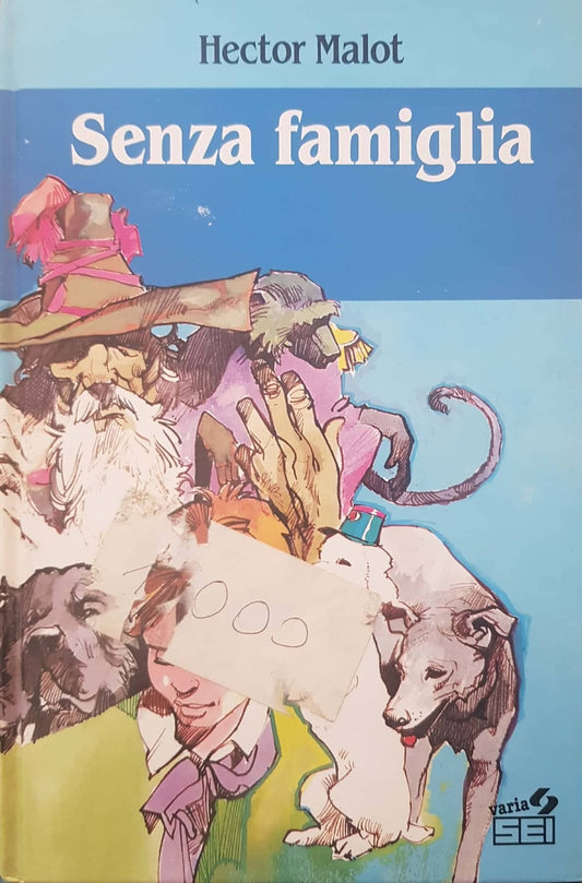 Senza famiglia - copertina