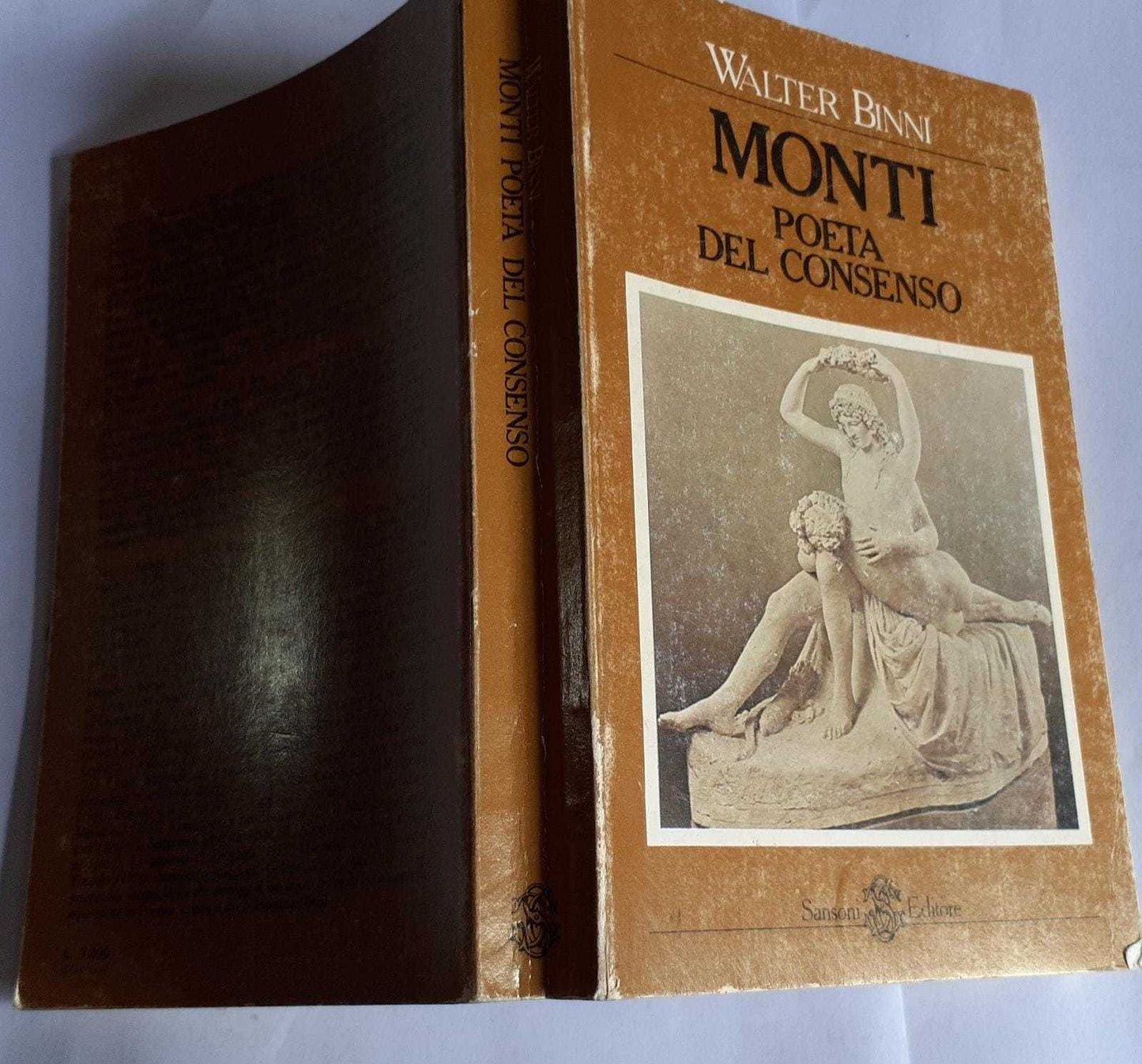 Monti poeta del consenso - copertina