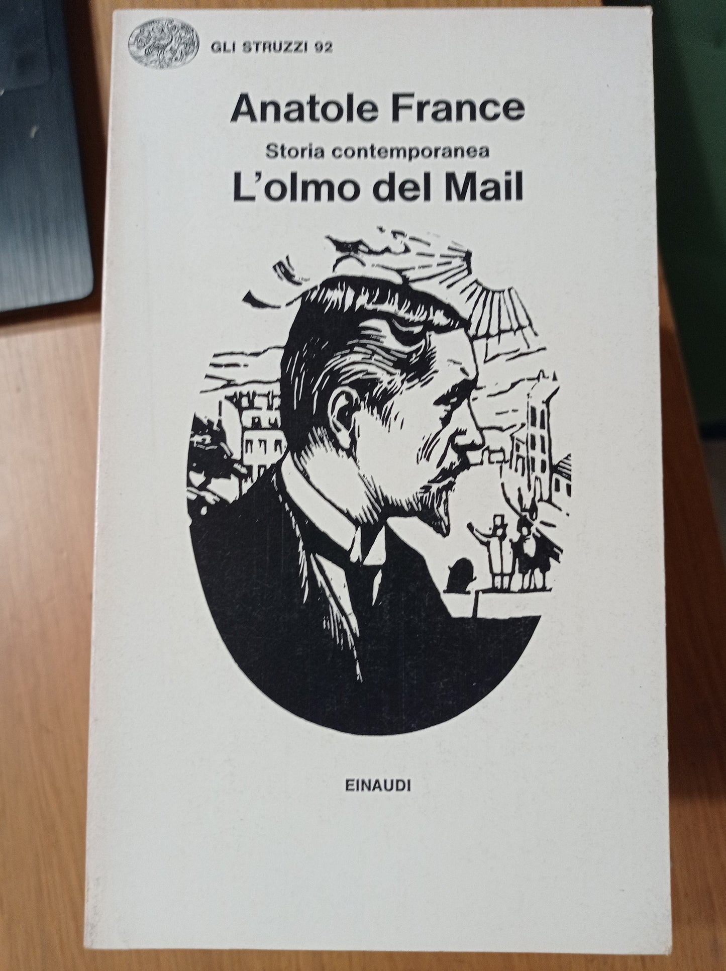 Storia contemporanea. L' olmo del Mail - copertina