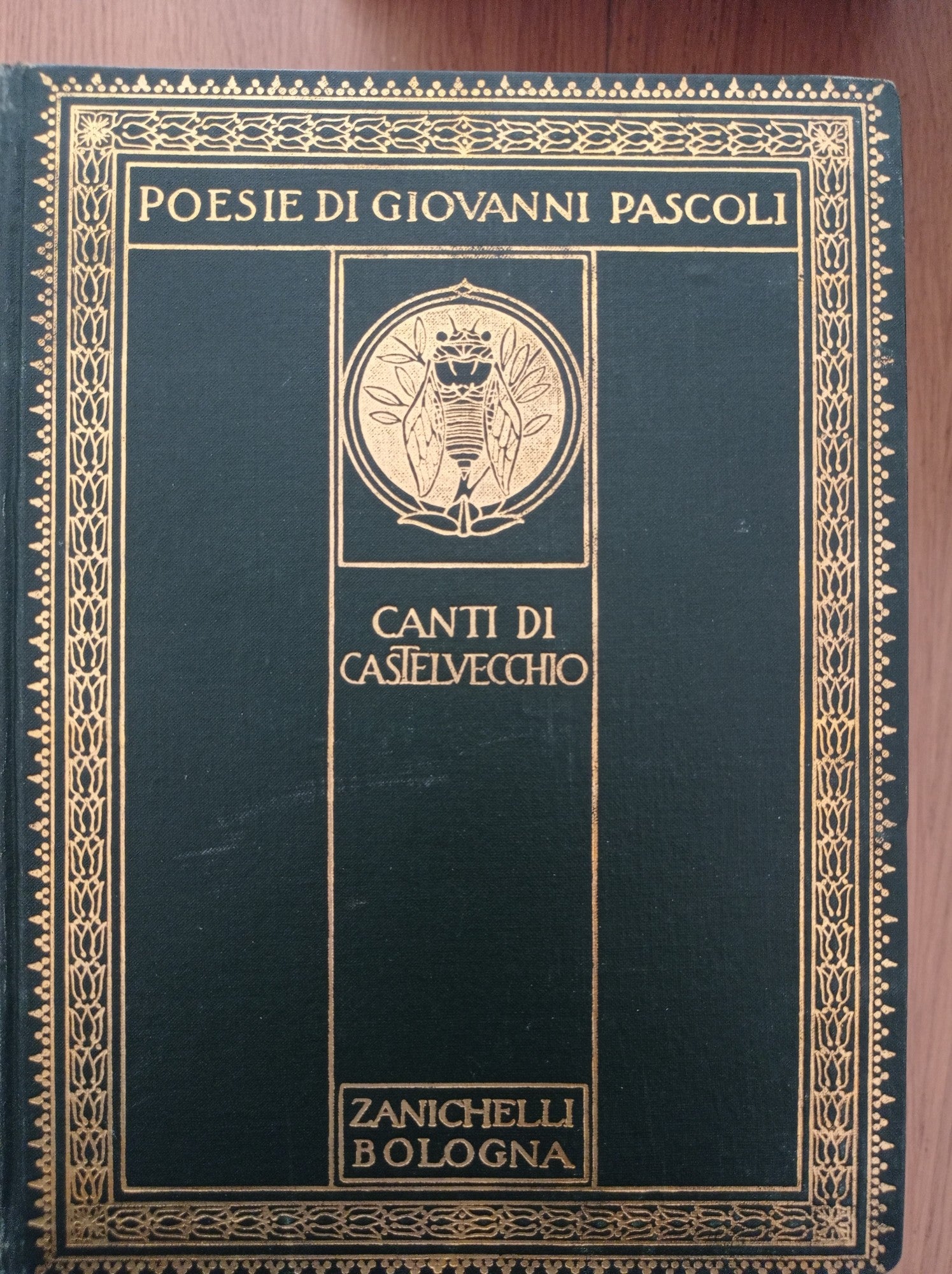 Canti di Castelvecchio - copertina