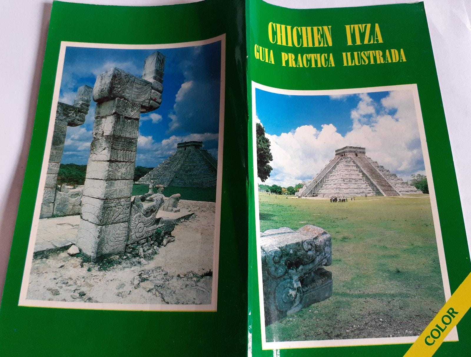 Guia practica ilustrada - copertina