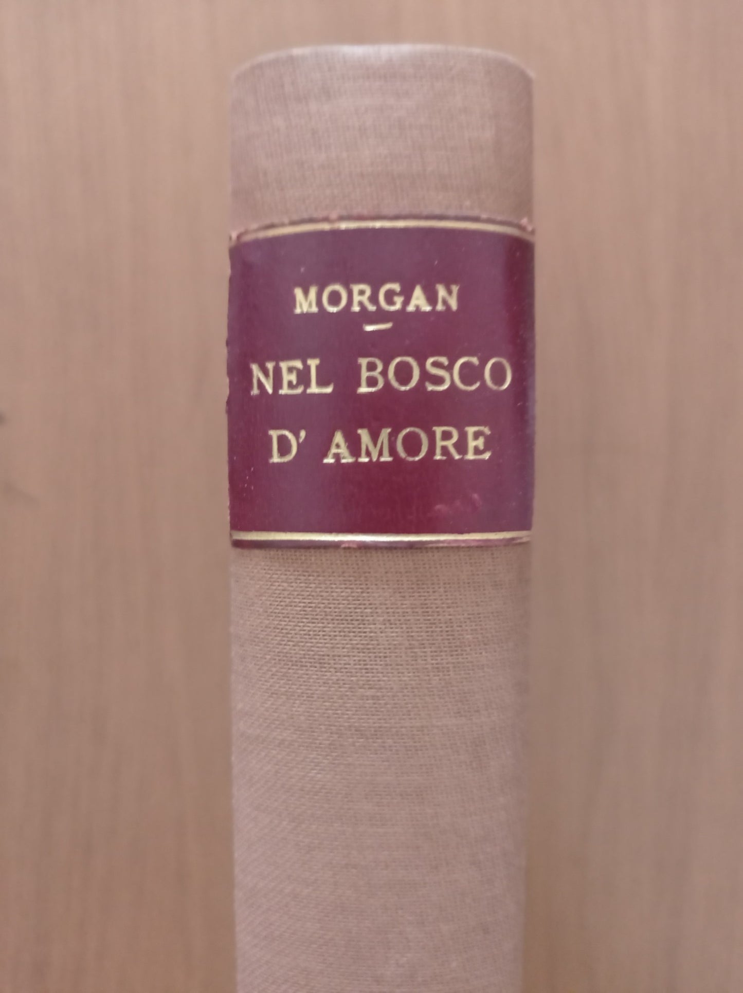 Nel bosco d'amore - copertina