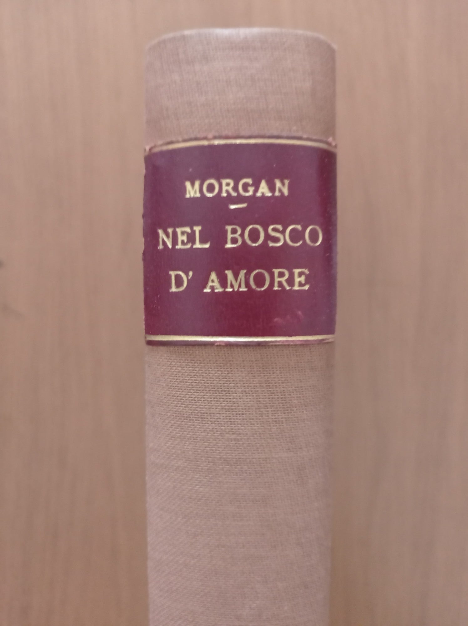 Nel bosco d'amore - copertina