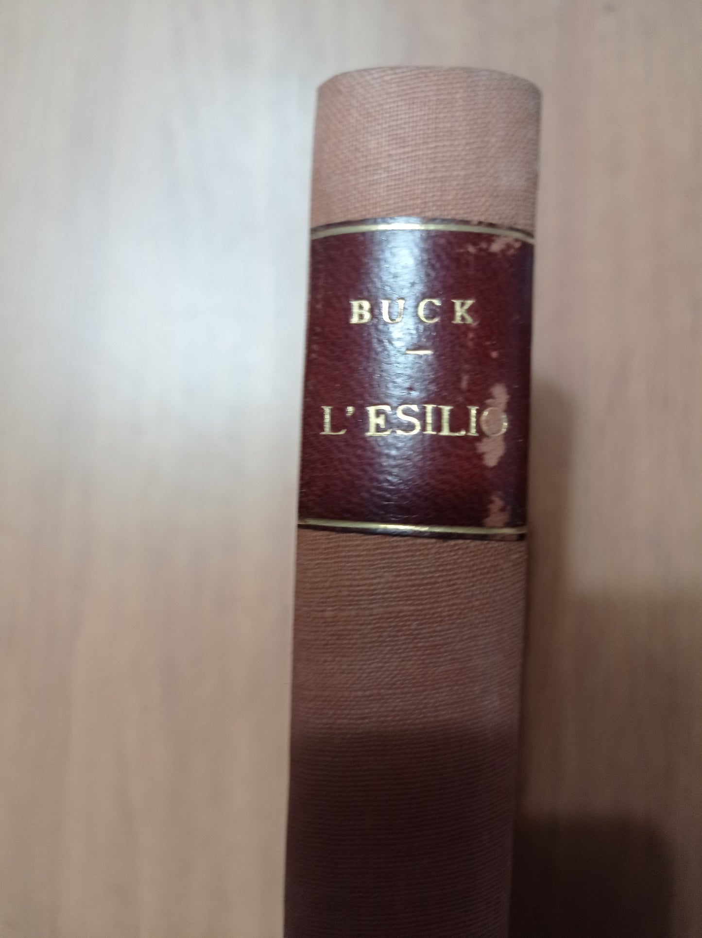 L' esilio - copertina