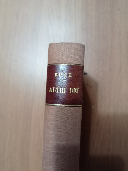 Altri dei - copertina