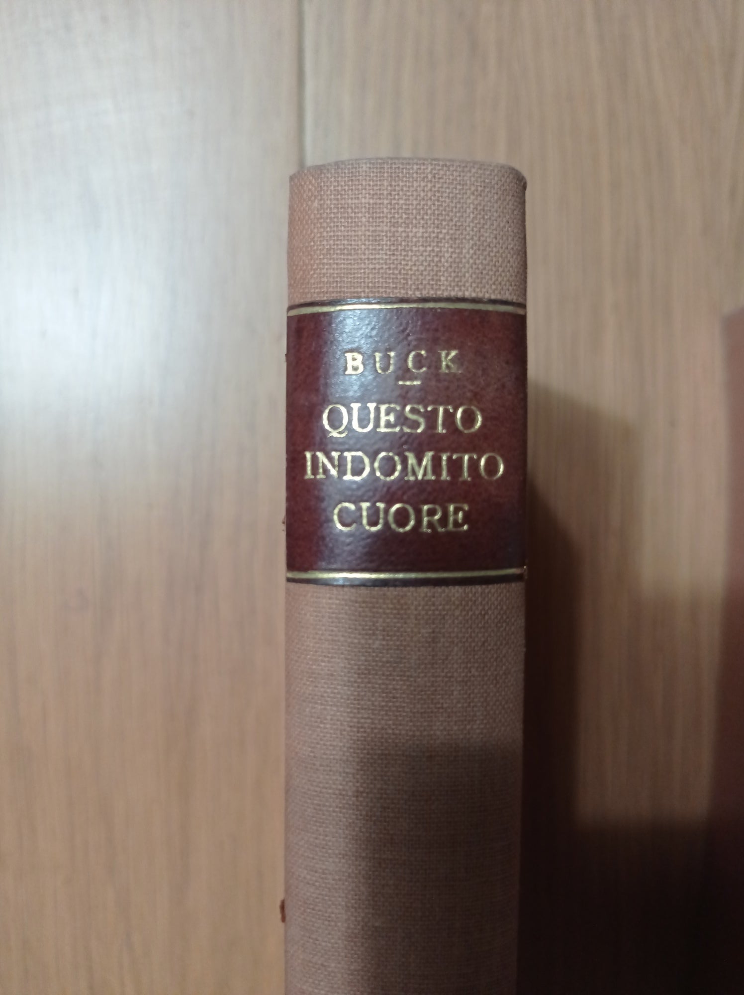 Questo indomito cuore - copertina