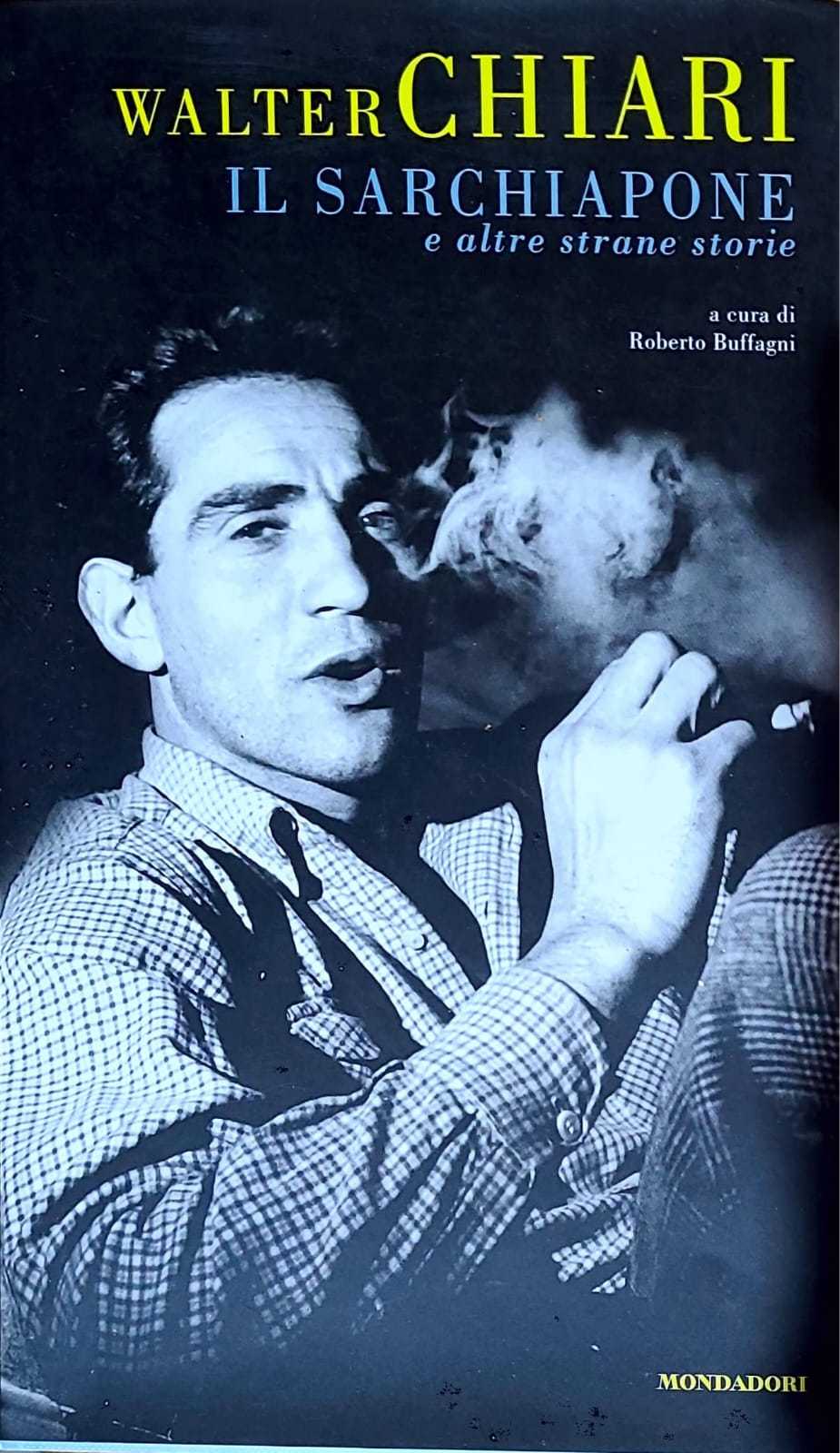 Il sarchiapone e altre strane storie - copertina