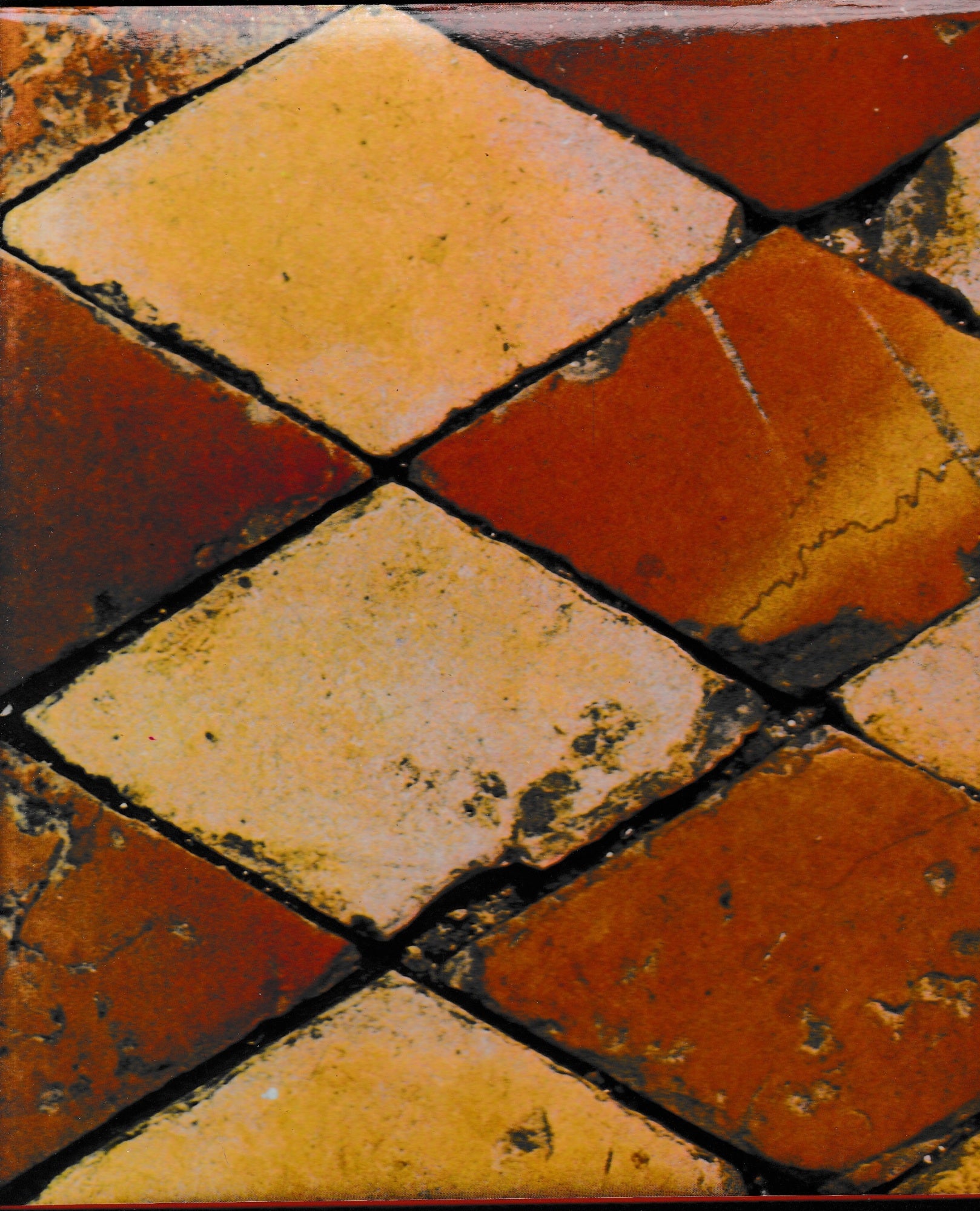 Spoleto viva - copertina