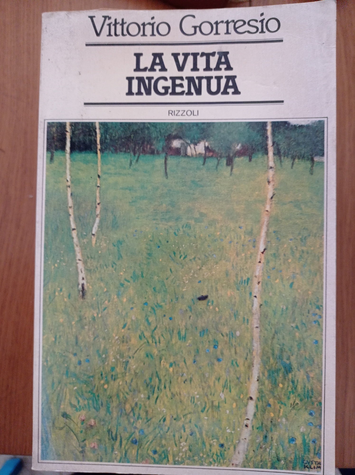 La vita ingenua - copertina