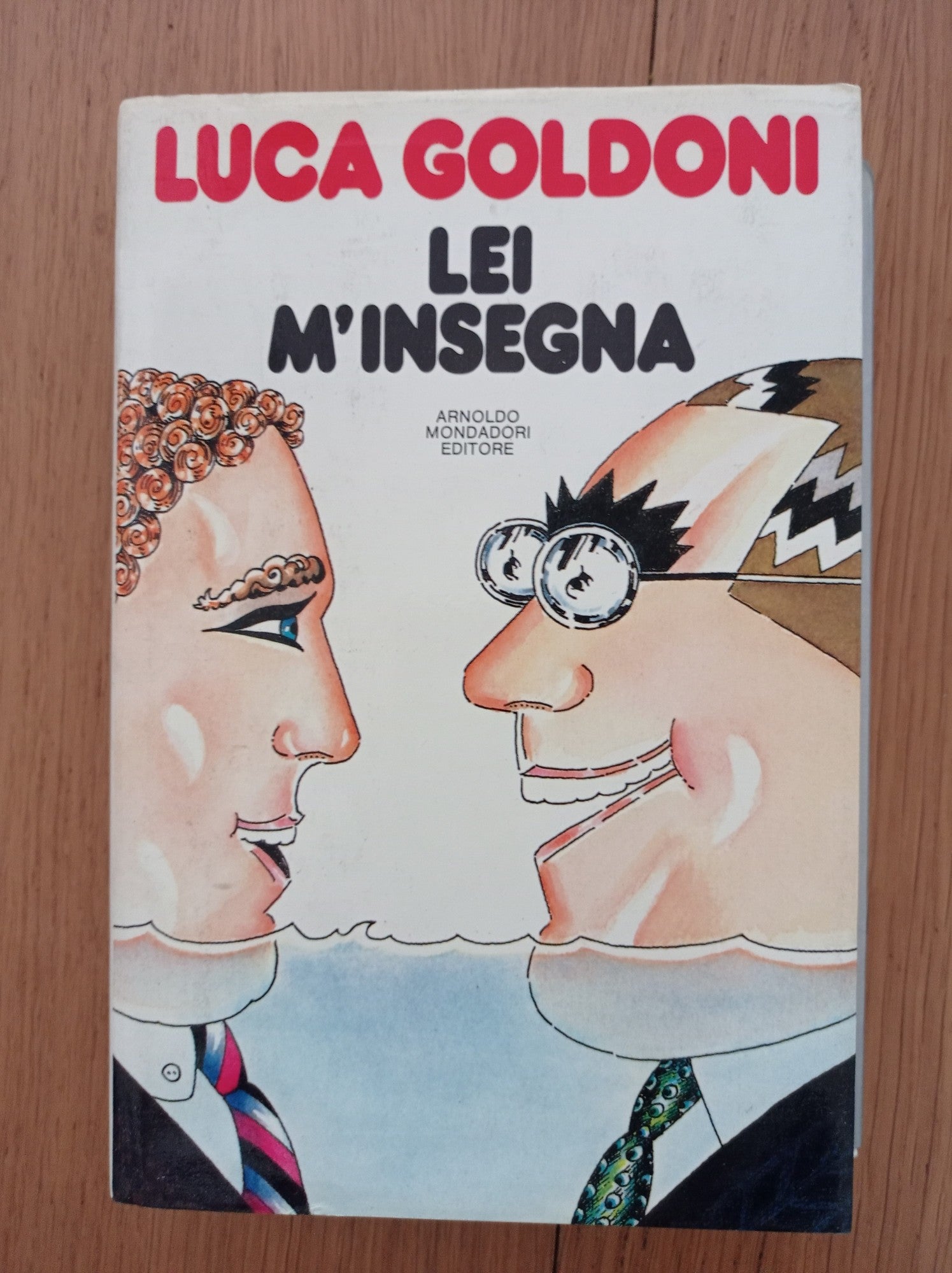 Lei m'insegna - copertina