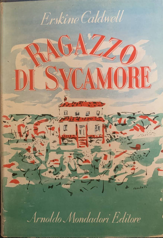 Il ragazzo di Sycamore - copertina