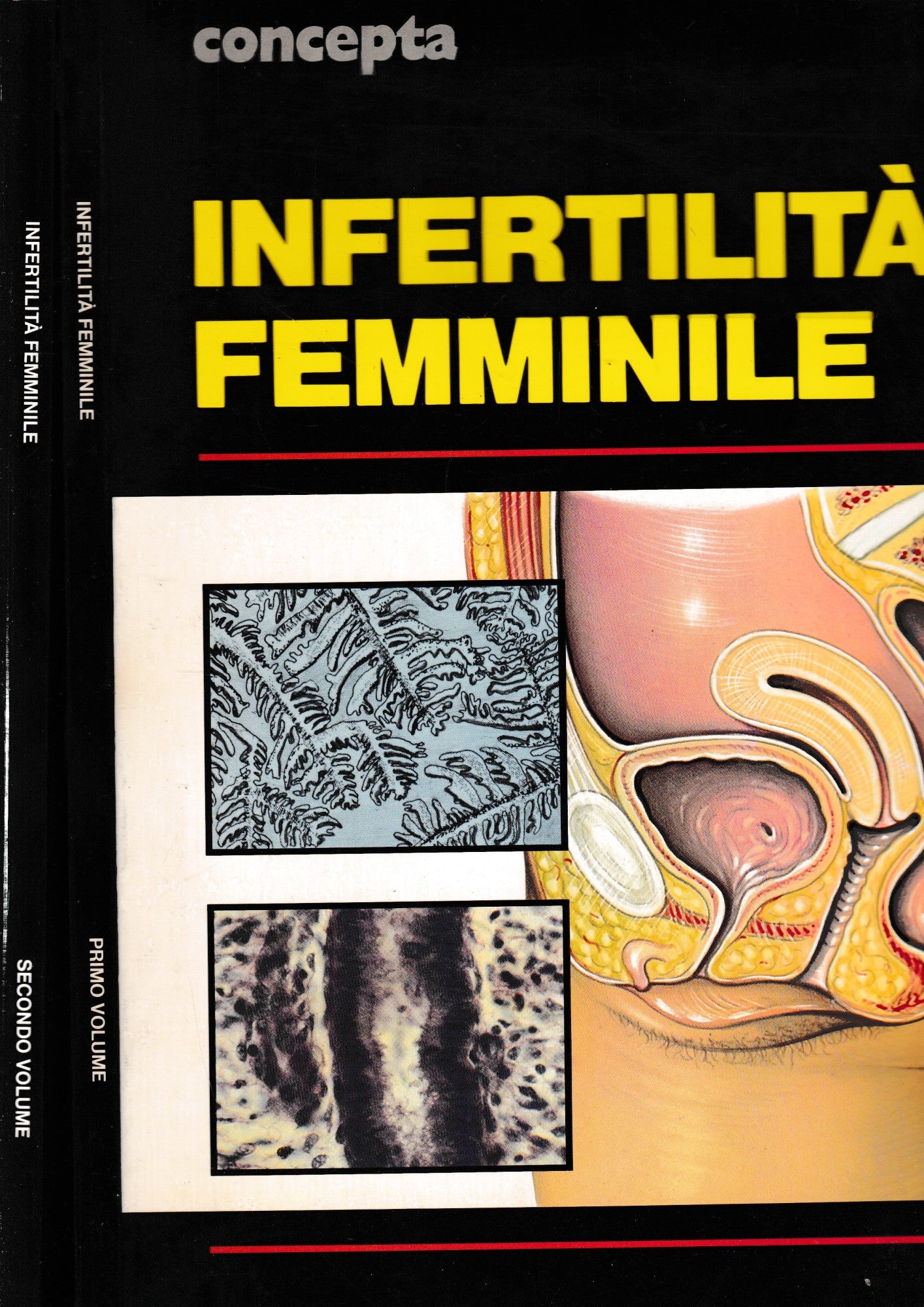 Infertilità femminile, due volumi - copertina