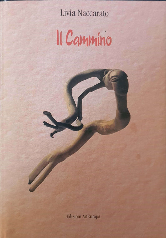 Il Cammino - copertina