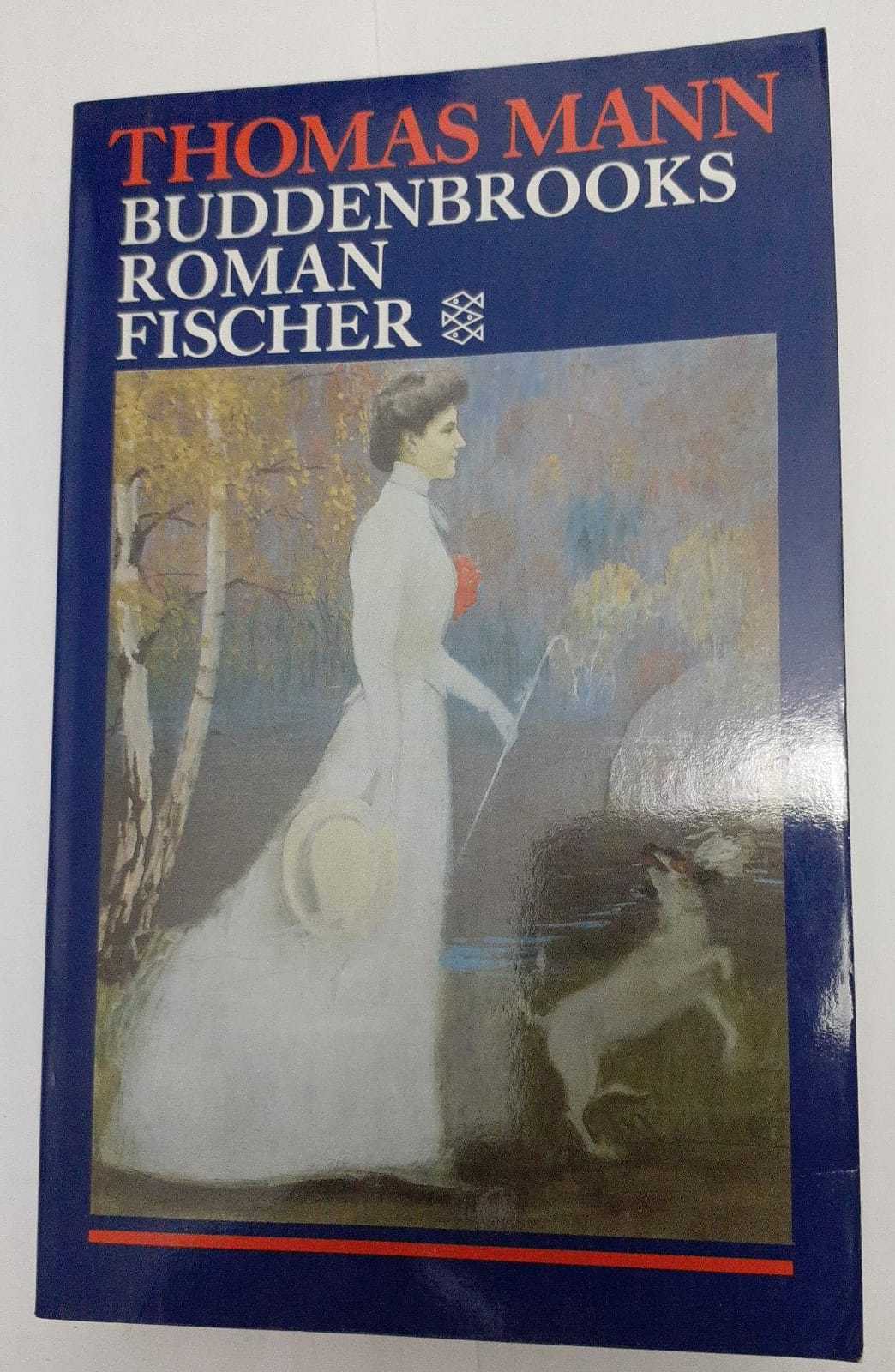 Buddenbrooks: Verfall einer Familie. Roman: 9431 - copertina