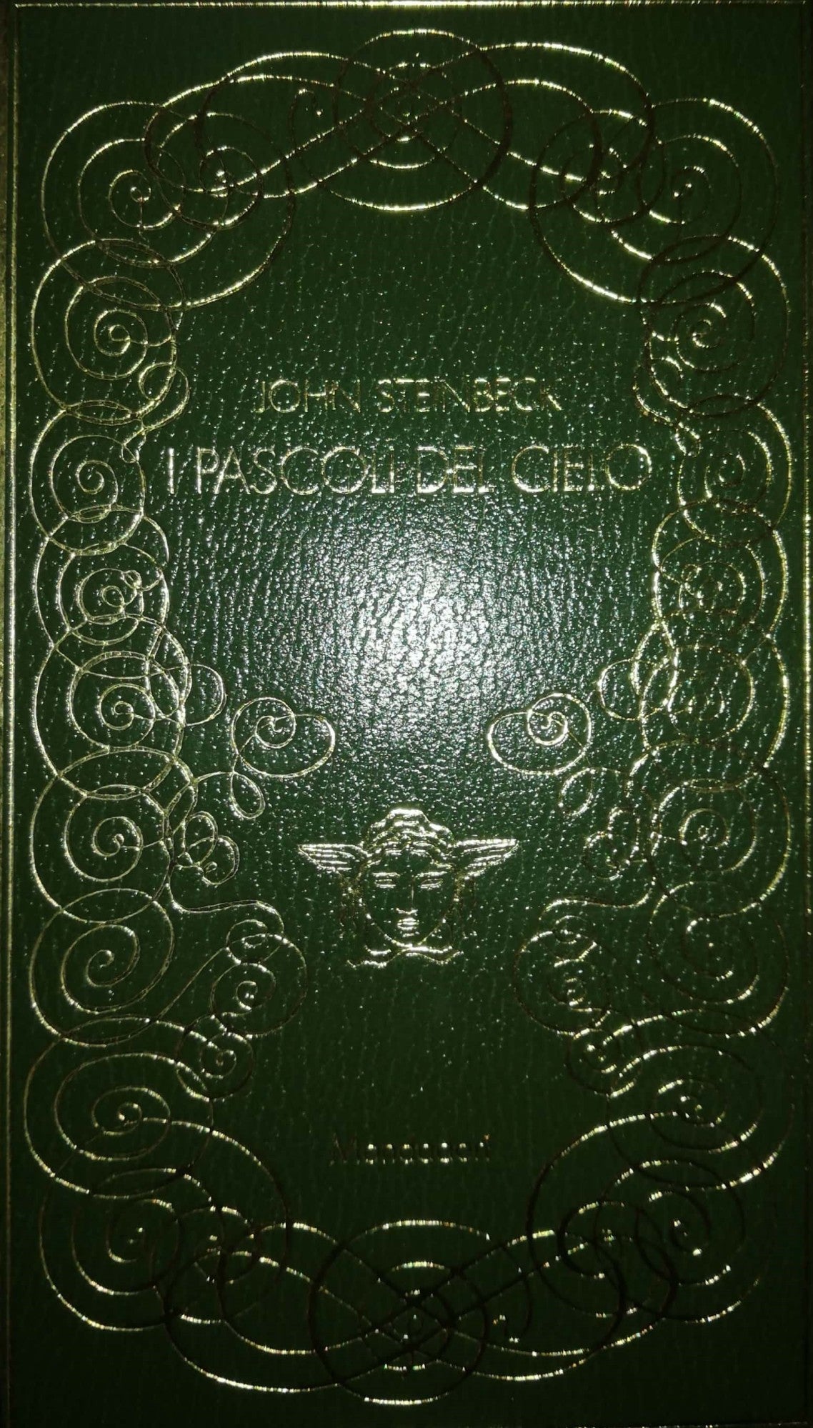 I pascoli del cielo - copertina