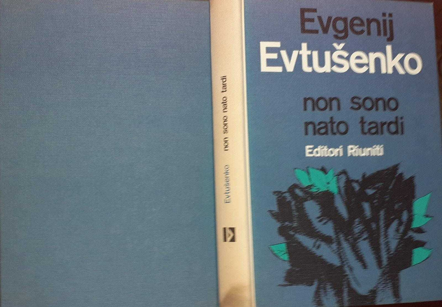 Non sono nato tardi - copertina