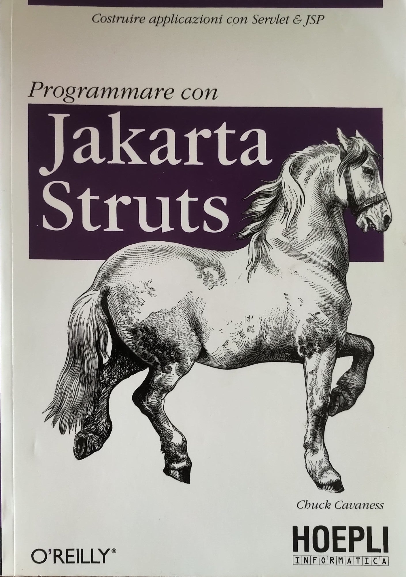 Programmare con Jakarta Struts - copertina