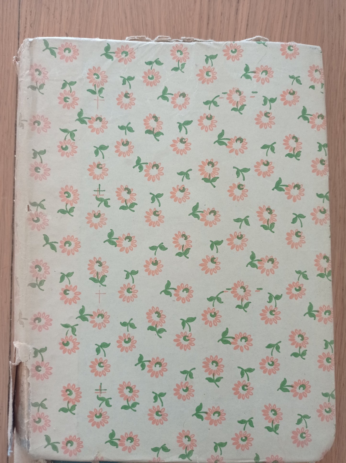 Senza famiglia - copertina