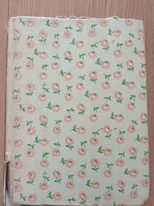 Senza famiglia - copertina