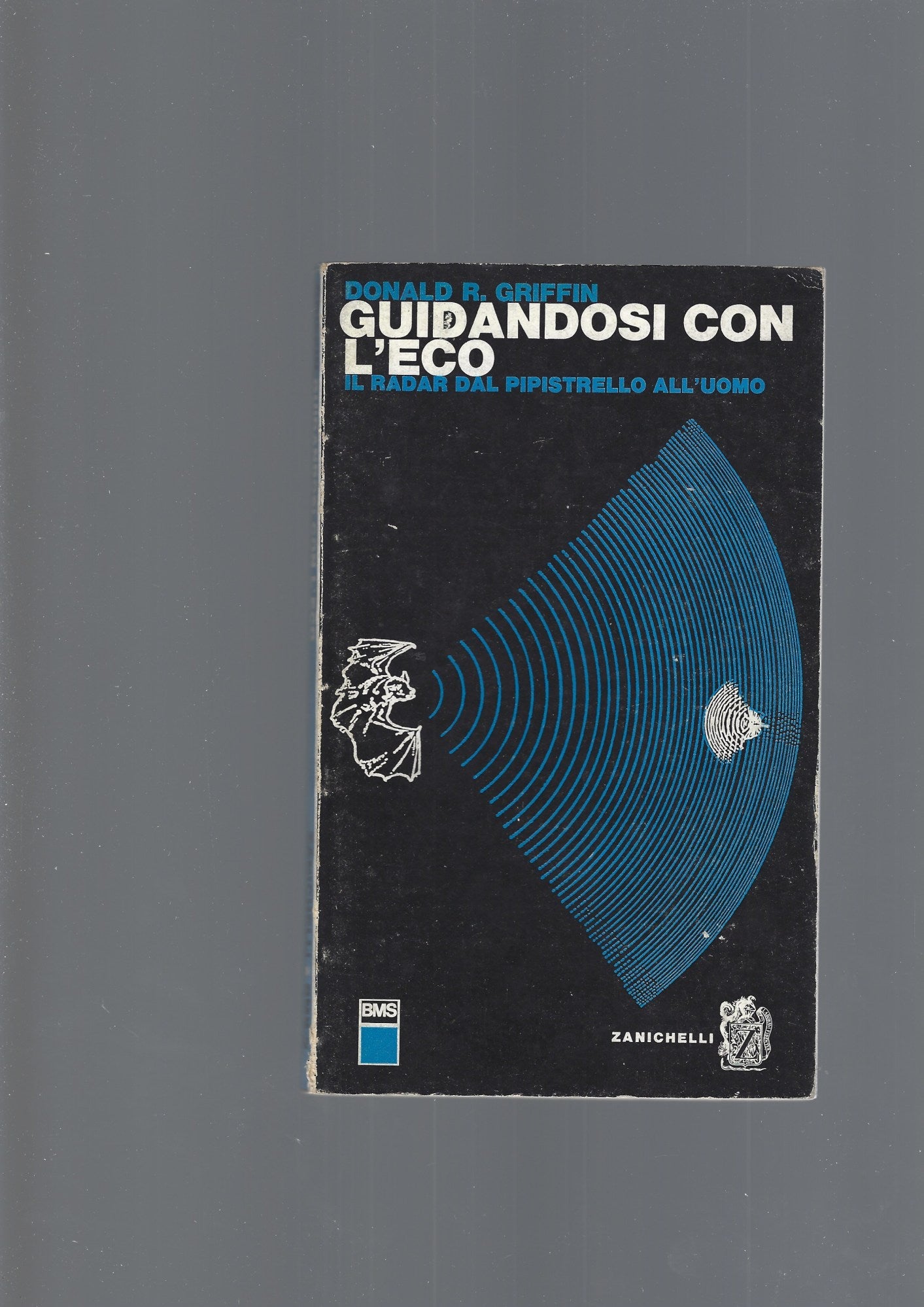 GUIDANDOSI CON L' ECO - copertina