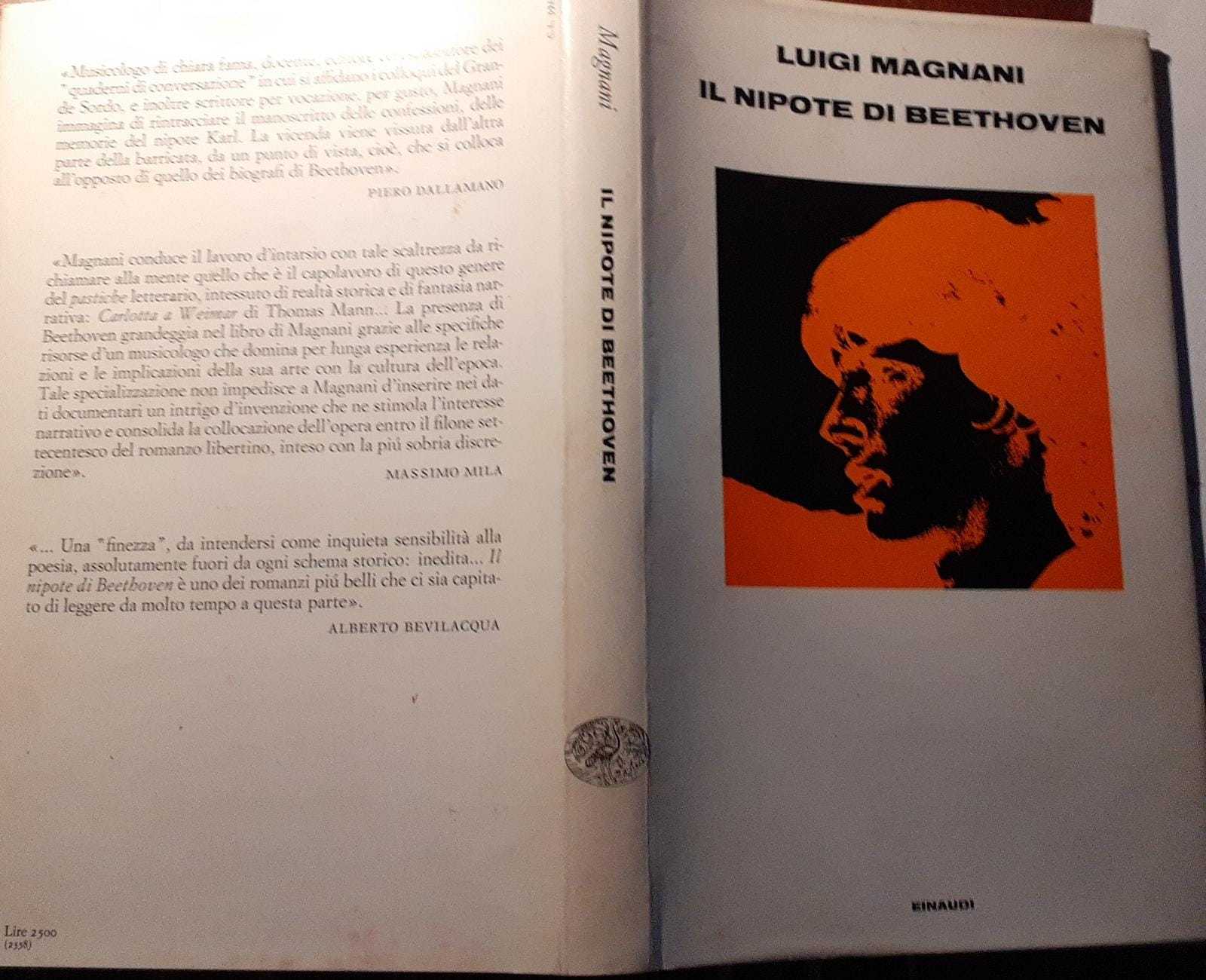 Il nipote di Beethoven - copertina