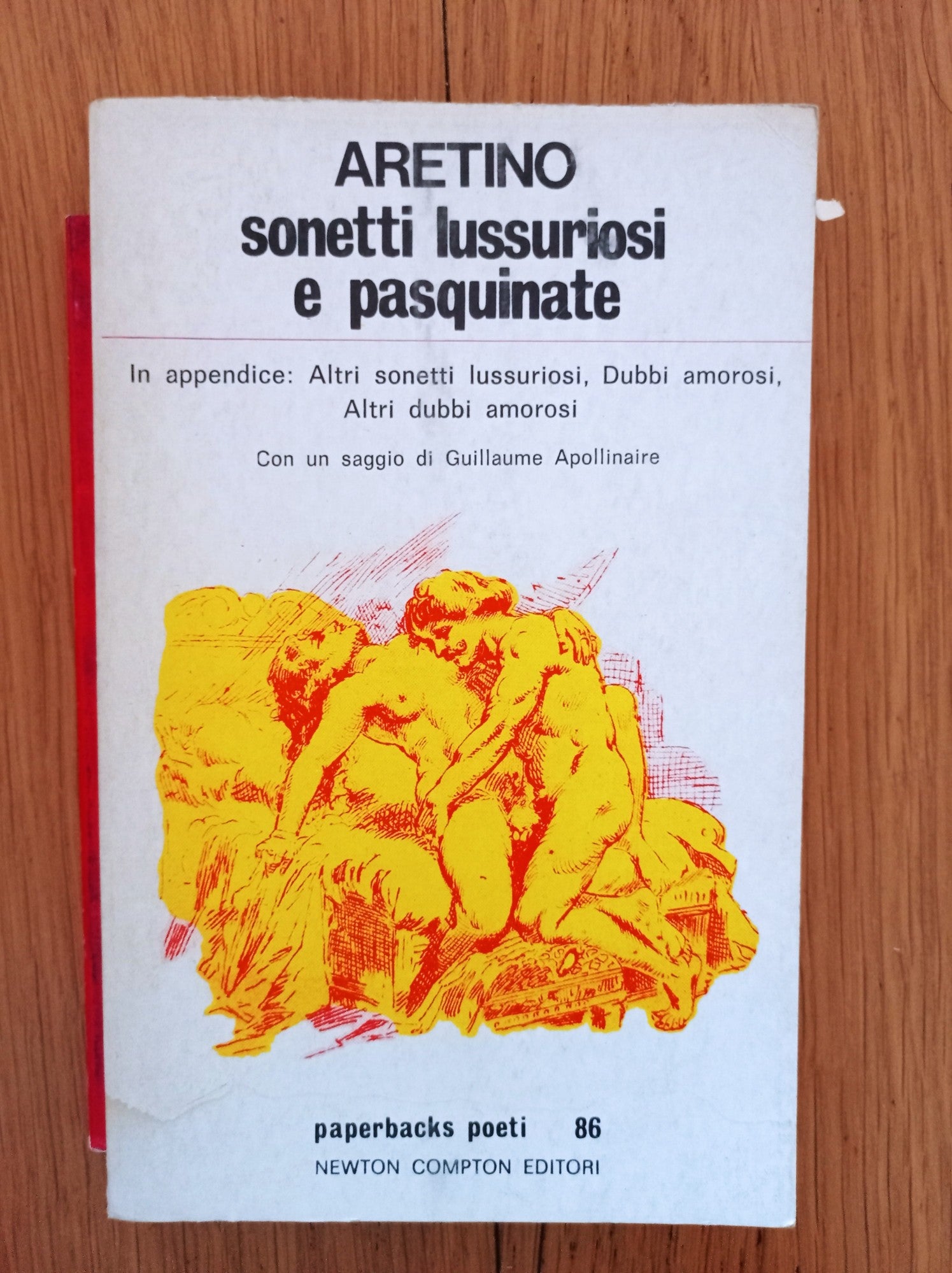 Sonetti lussuriosi e pasquinate - copertina