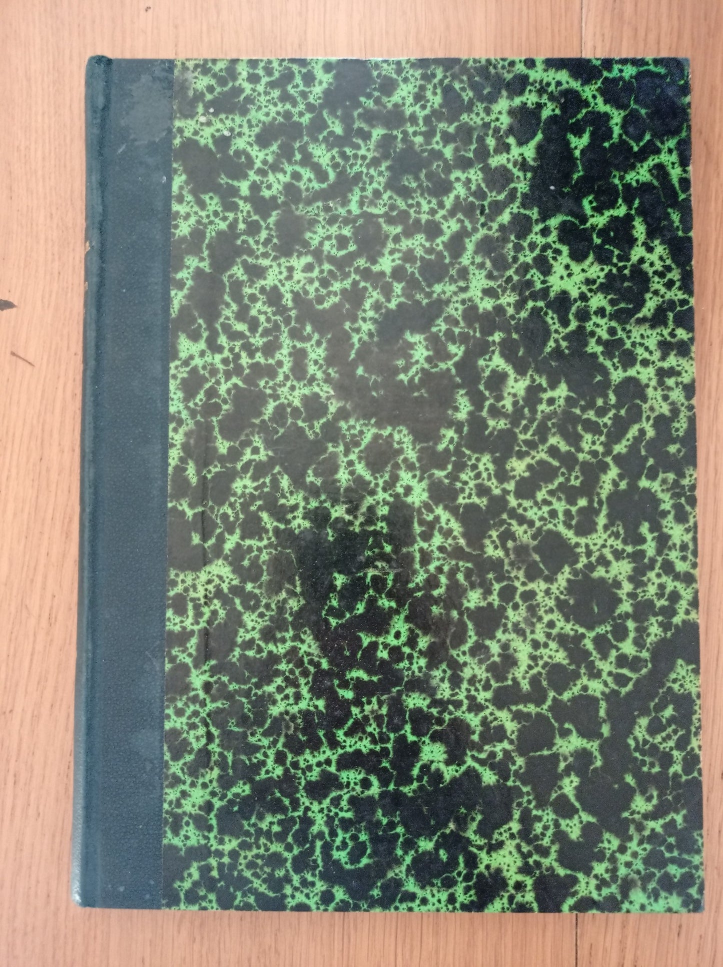 La giuventù di Enrico Iv le avventure del Fante di Fiori (Seguito della BELLA ARGENTIERA, del a FAVORITA DEL RE DI NAVARRA e degli AMORI DELLA BELLA NANCY) - copertina