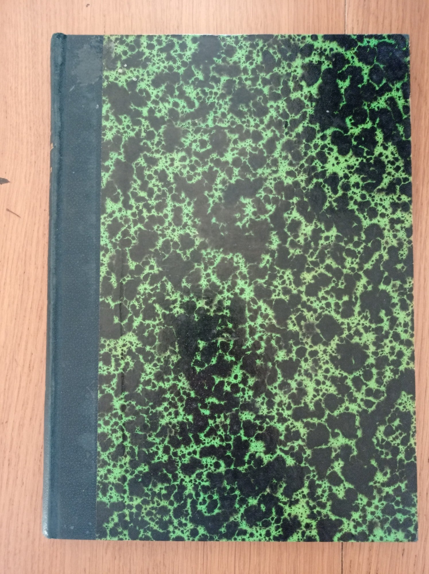 La giuventù di Enrico Iv le avventure del Fante di Fiori (Seguito della BELLA ARGENTIERA, del a FAVORITA DEL RE DI NAVARRA e degli AMORI DELLA BELLA NANCY) - copertina