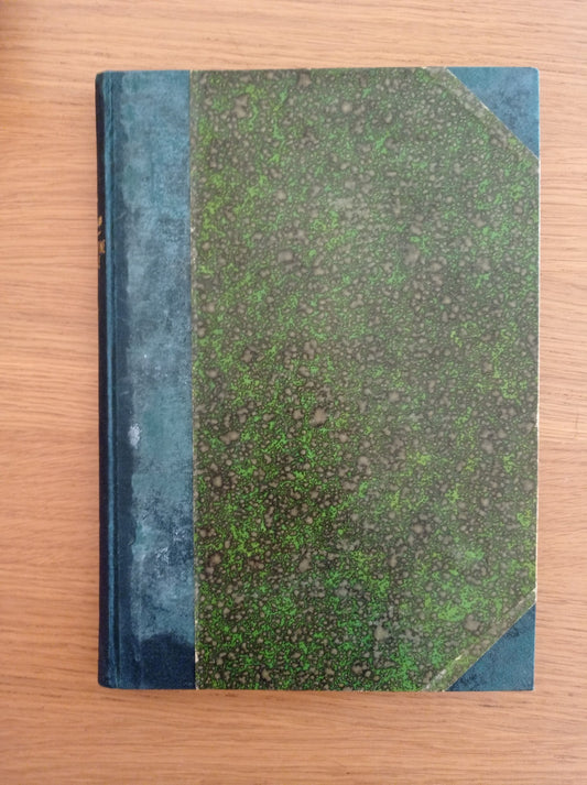 Il buffone del re - copertina