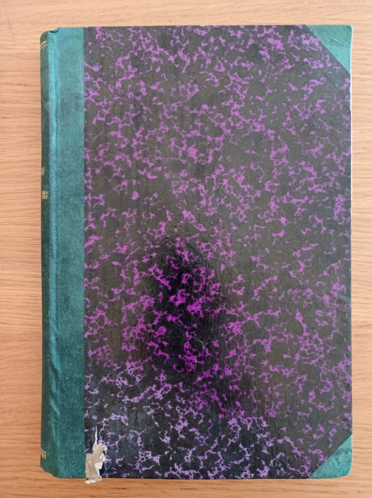 I viaggiatori del secolo XIX - copertina