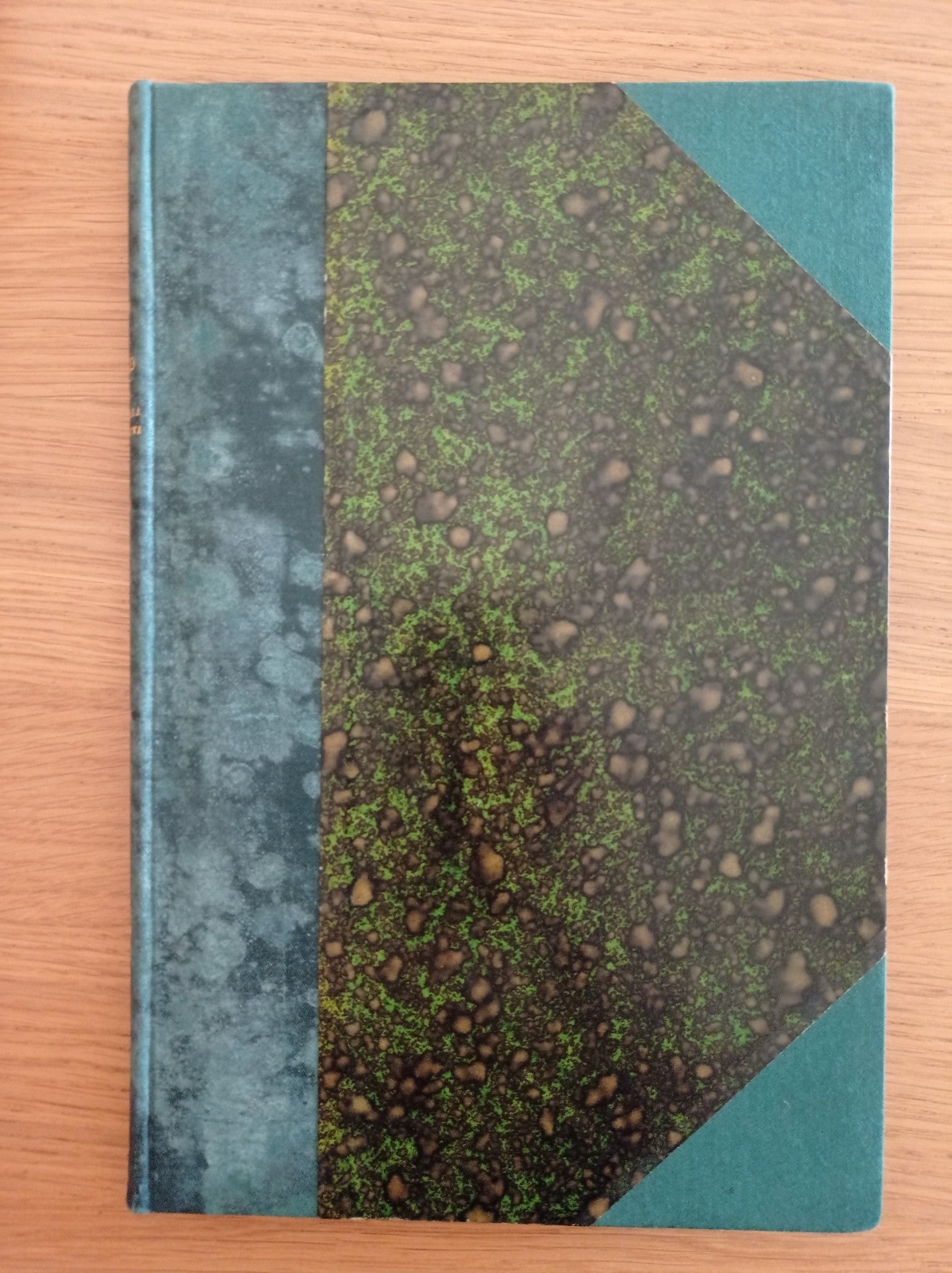 Avventure di terra e mare: La sorella perduta - copertina