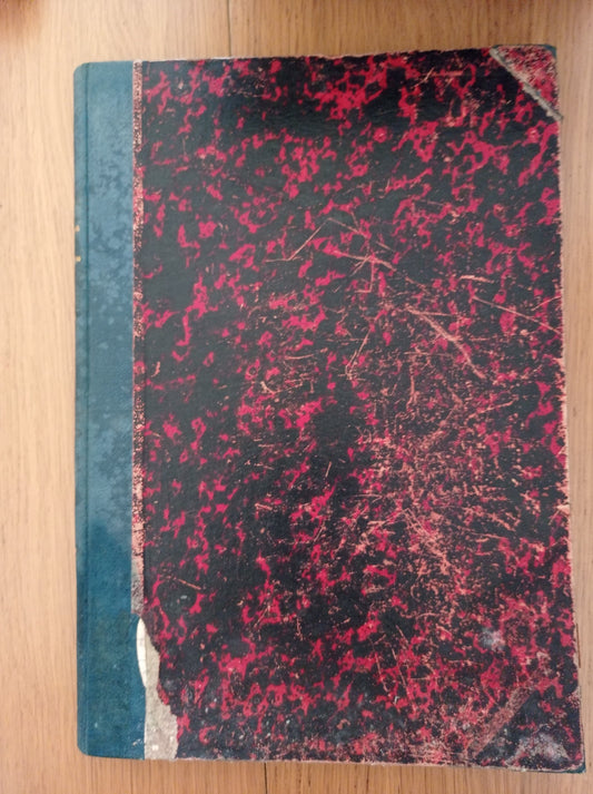 Gianni - lupo - copertina