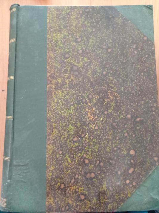 I due derelitti - copertina