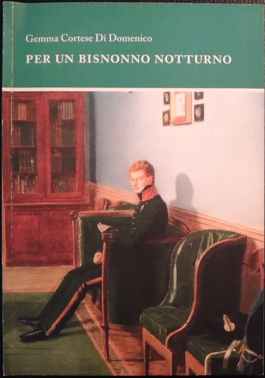 Per un bisnonno notturno - copertina