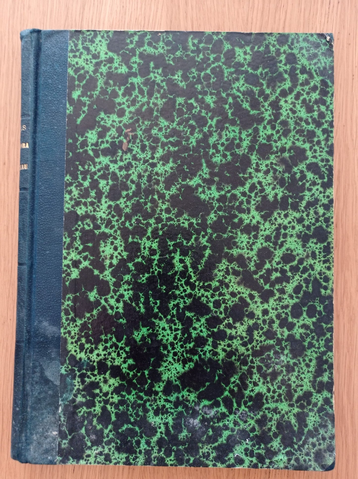 La signora di Monsoreau - copertina