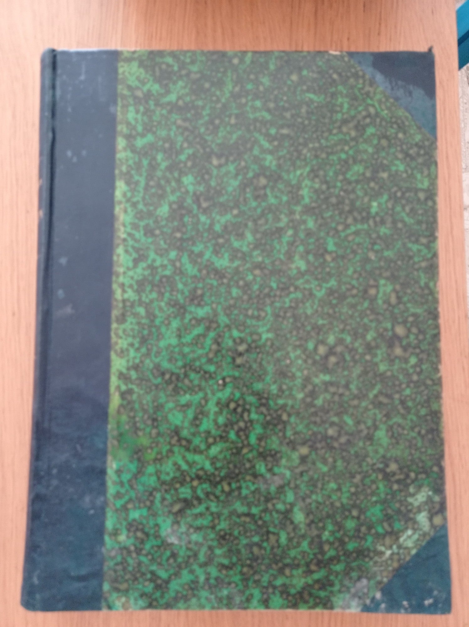 FANCHON la Suonatrice di Ghironda - copertina