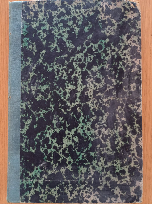 Avventure di terra e di mare I NAUFRAGHI DELL'ISOLA BORNEO - copertina