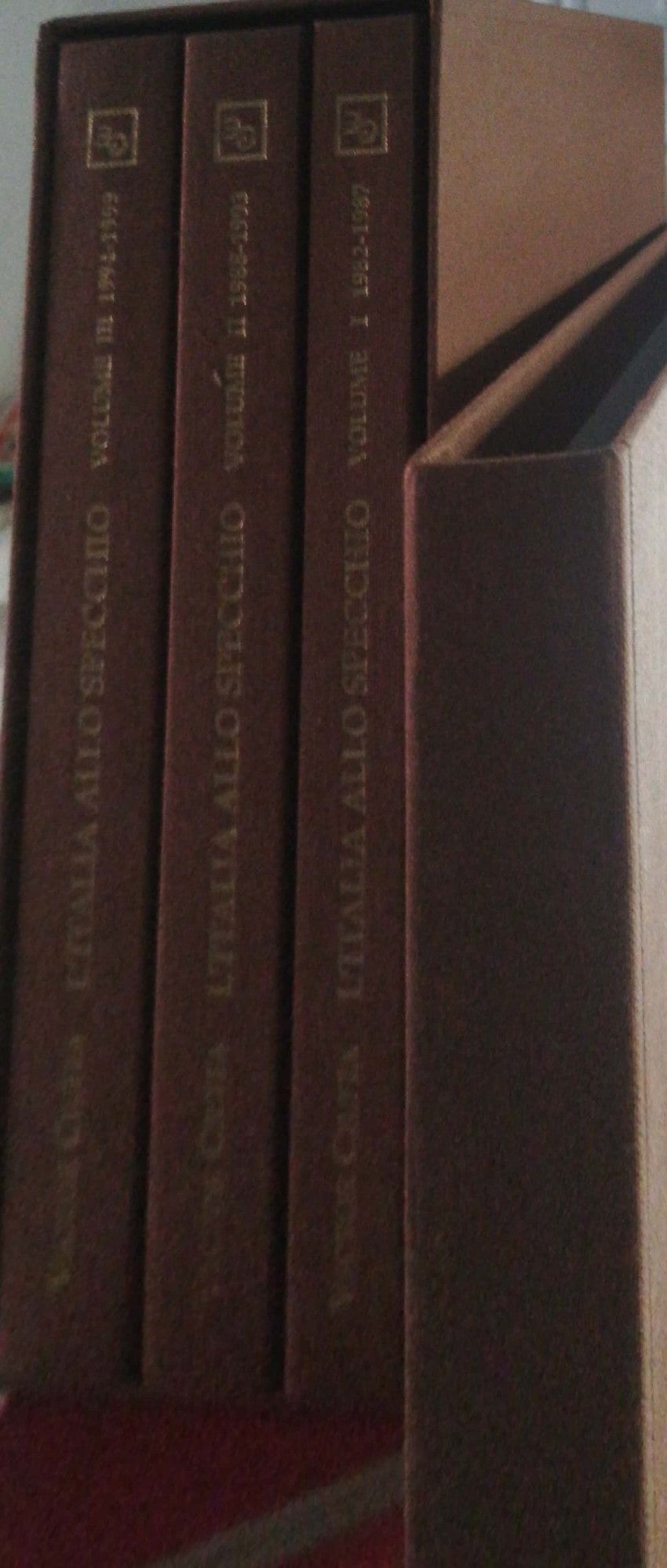 L'Italia allo specchio - copertina