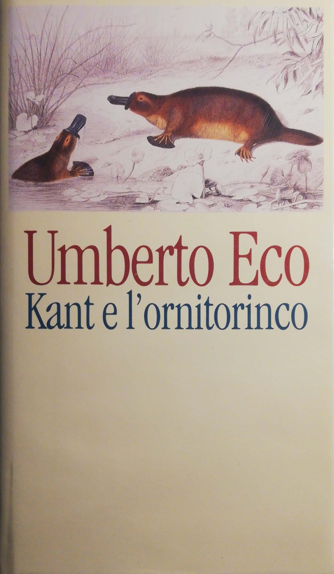 Kant e l'ornitorinco - copertina
