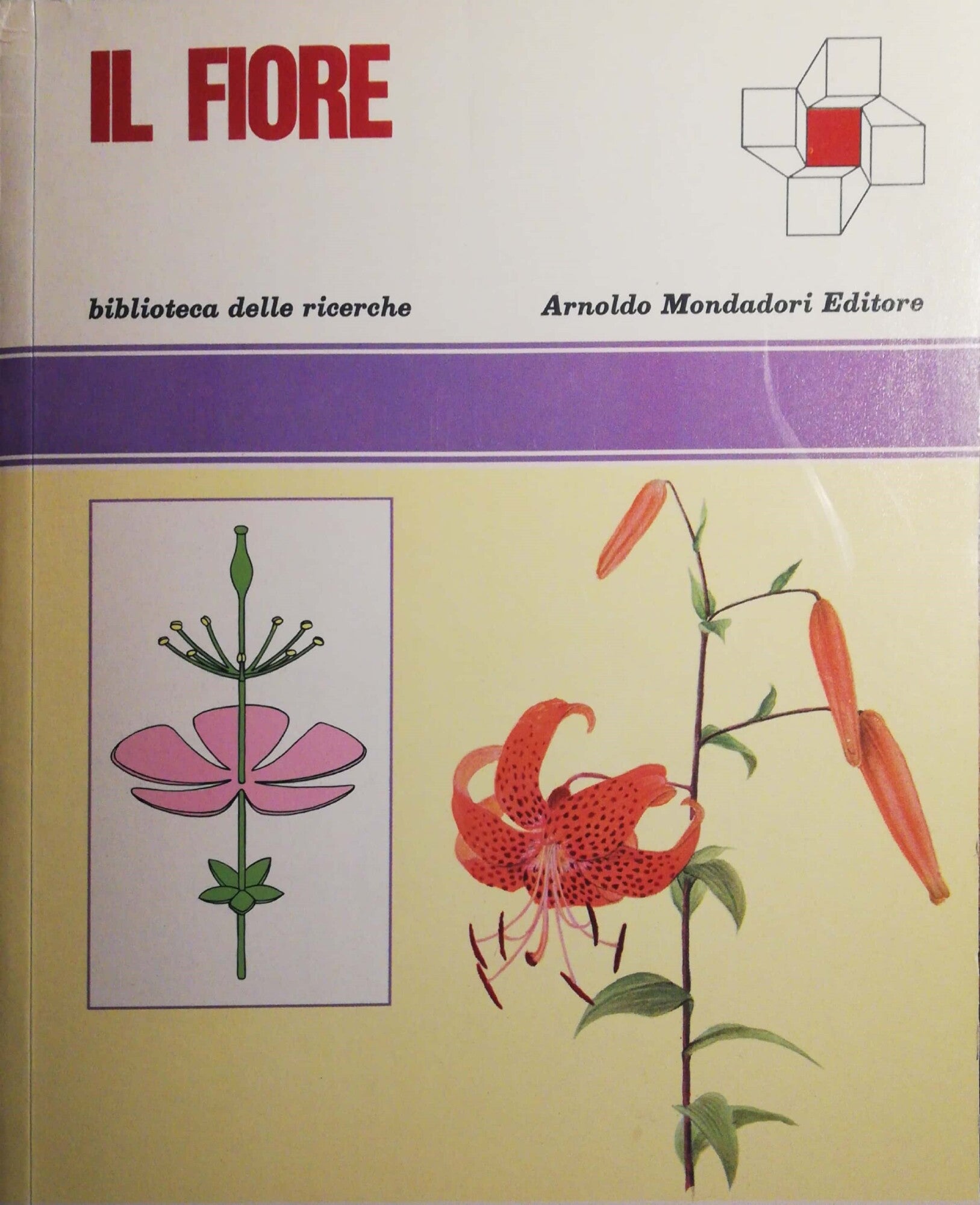 Il Fiore - copertina
