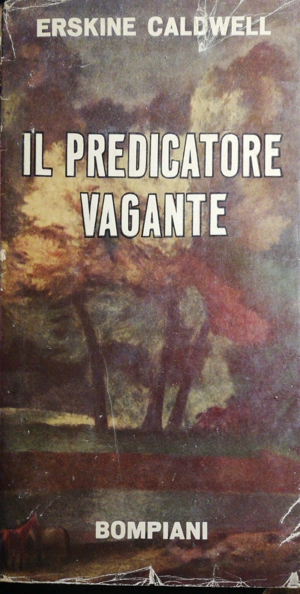Il predicatore vagante - copertina