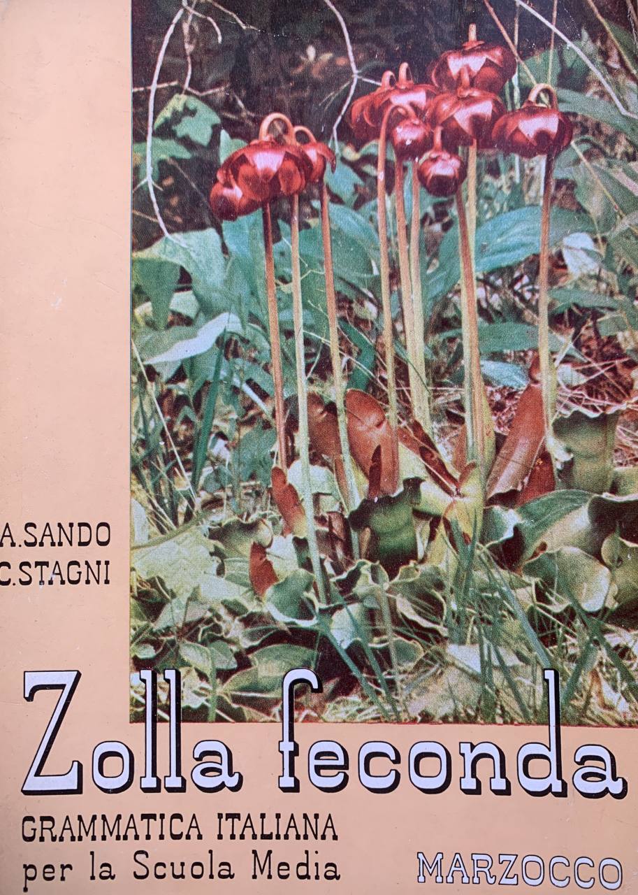 Zolla Feconda. Grammatica italiana per la scuola media - copertina