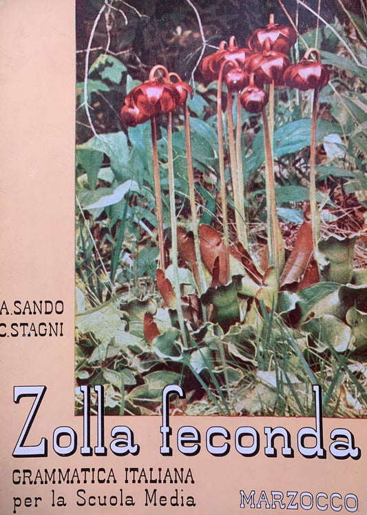 Zolla Feconda. Grammatica italiana per la scuola media - copertina