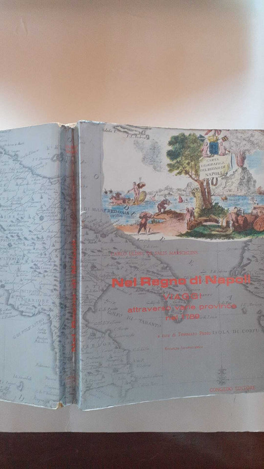 Nel Regno di Napoli - copertina