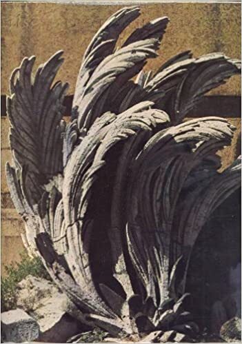 L'Europa delle capitali 1600-1700 - copertina