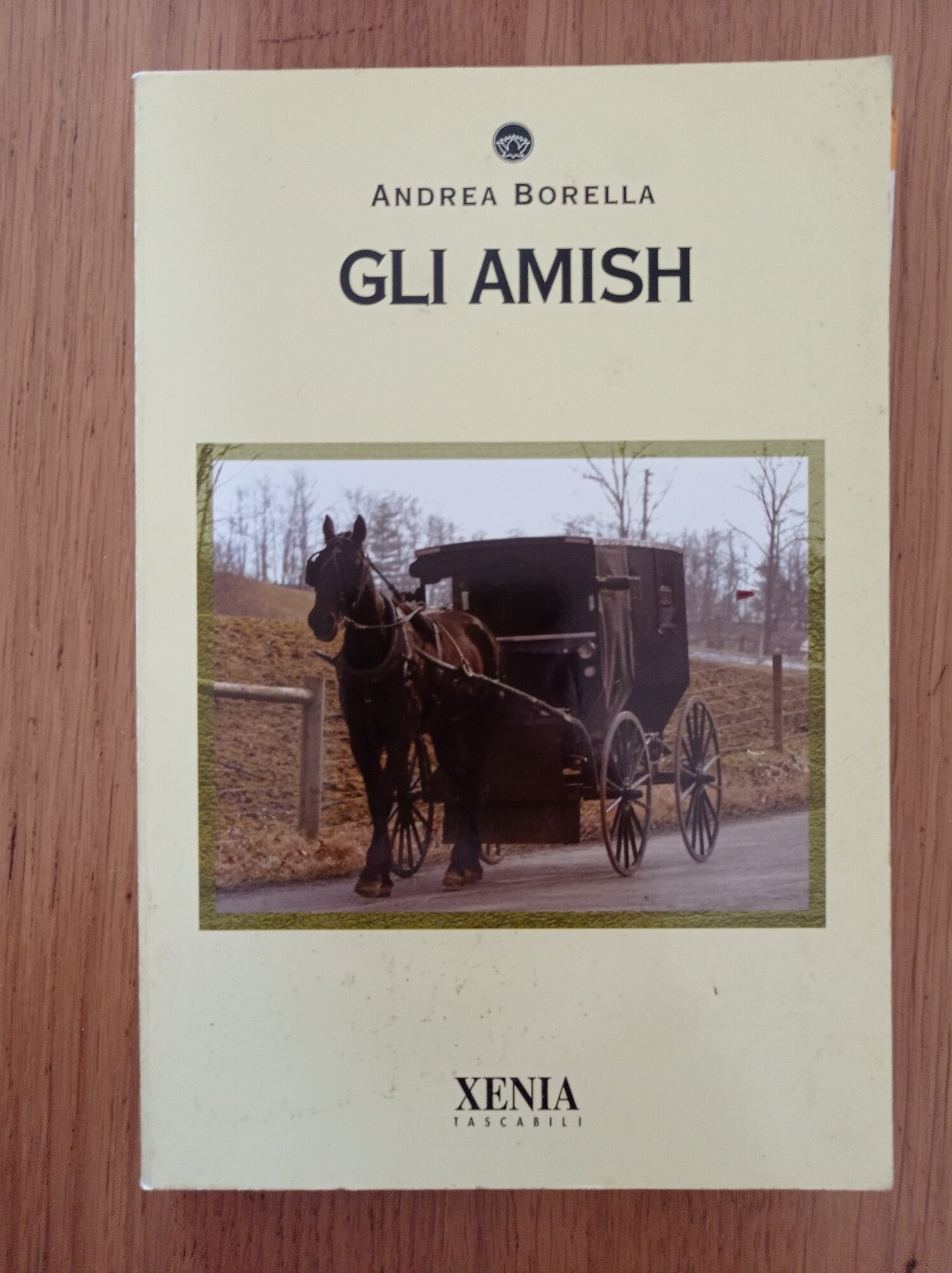 Gli amish - copertina